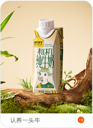 认养一头牛