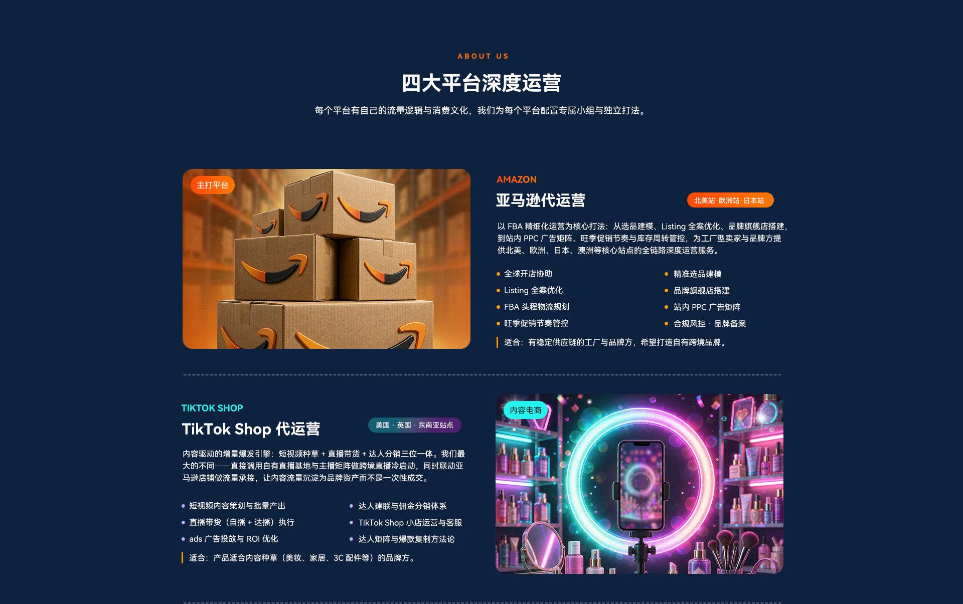 四大平台深度运营 - 亚马逊、TikTok Shop代运营