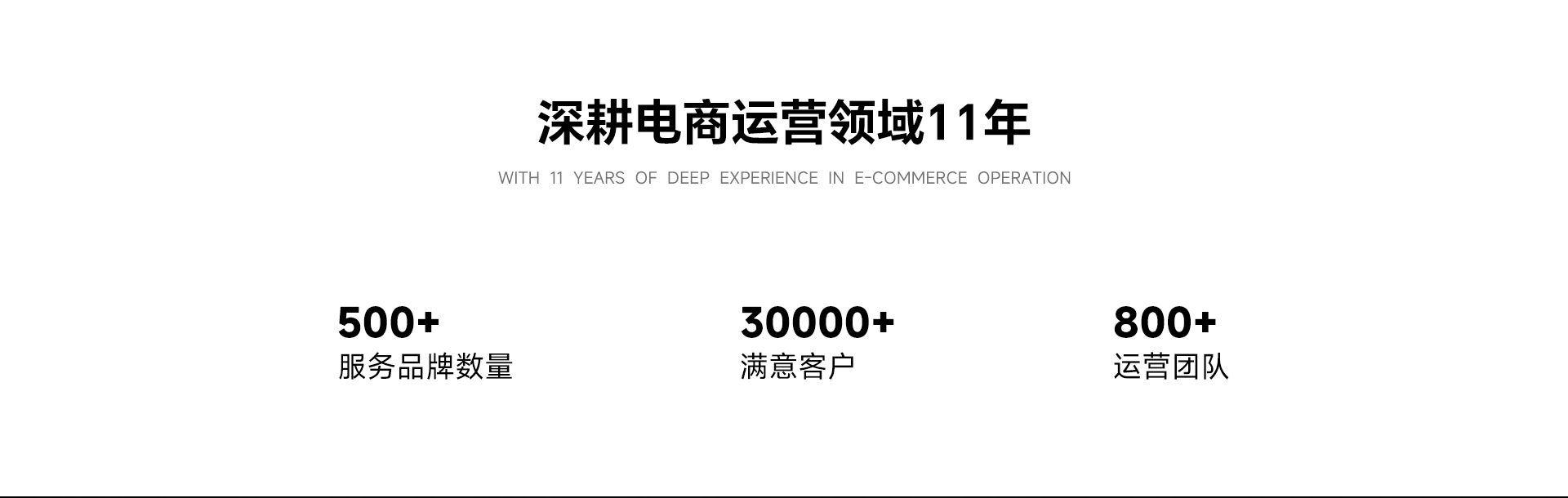 11年经验